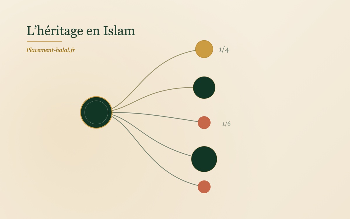 L'héritage en Islam : comment calculer les parts successorales (fara'id) en France ?