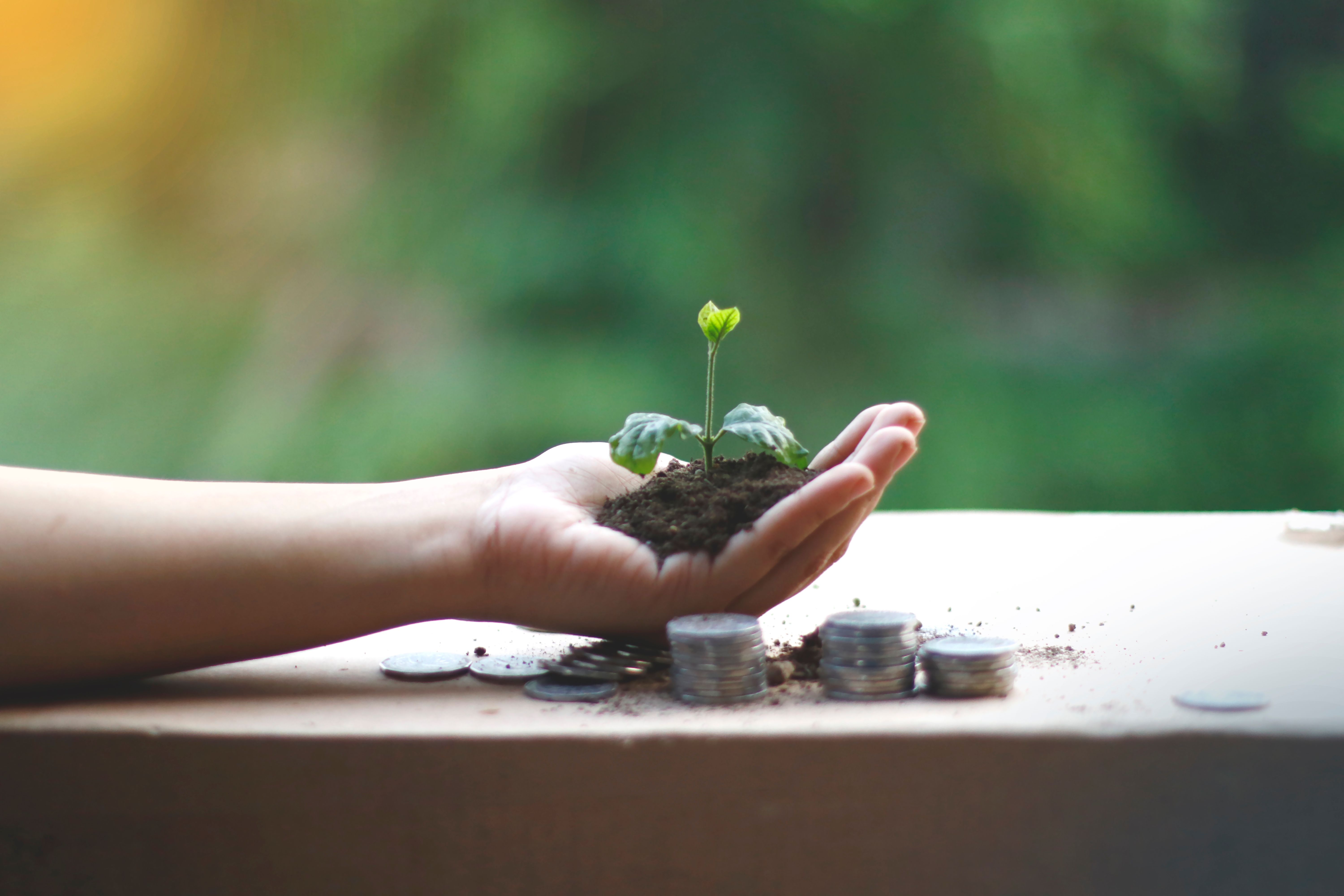 Les meilleurs ETF et Sukuk halal en 2026 : le guide complet pour investisseurs français
