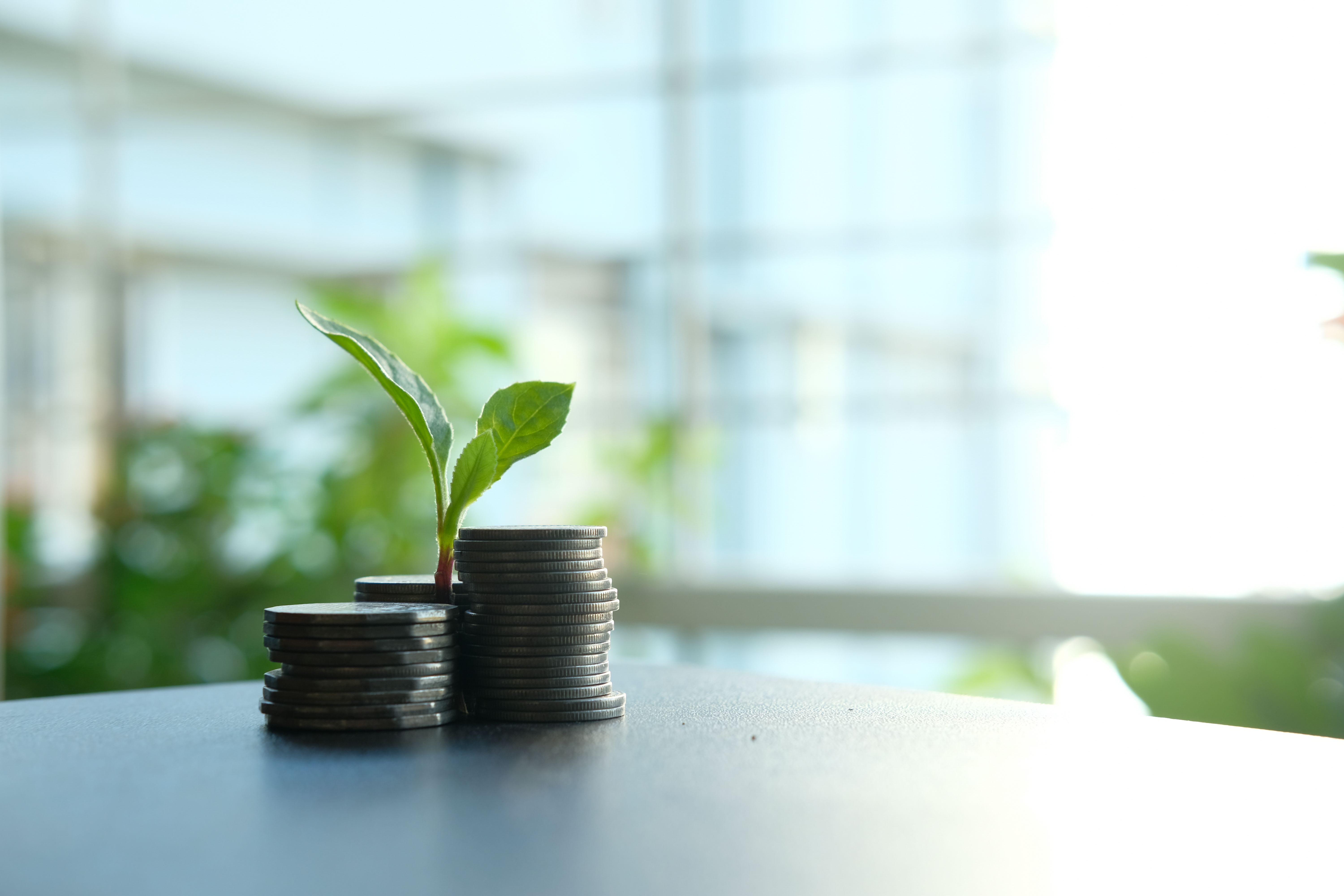 Quel cabinet ou plateforme choisir pour investir selon la finance islamique en France ?